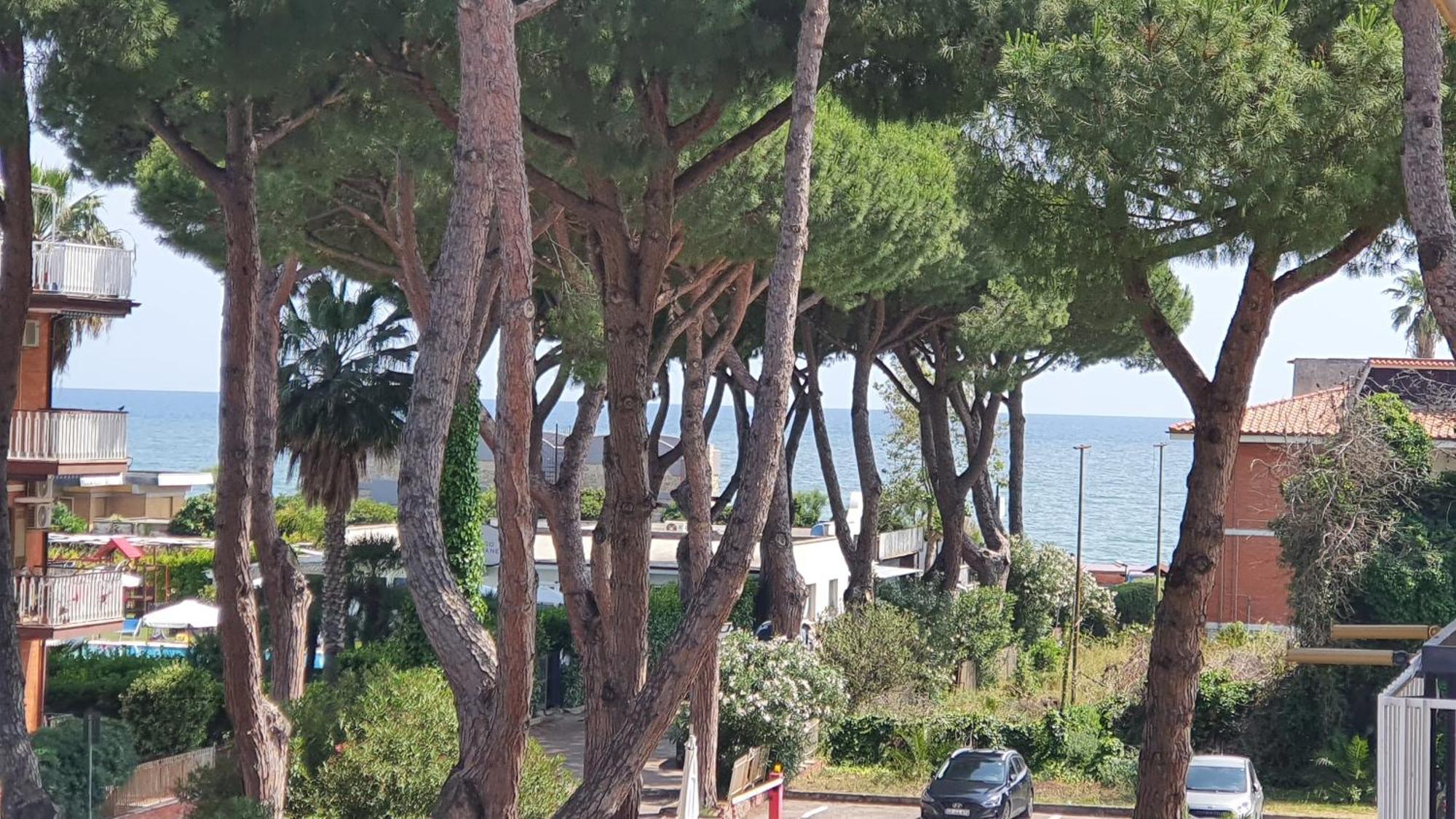 Danyshome Giove Davanti Al Mare Apartment *